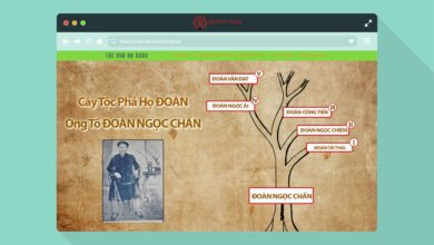 thiết kế website tộc phả họ đoàn tân lý tocphahodoantanly.org