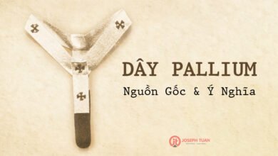 dây pallium là gì? nguồn gốc và ý nghĩa của dây pallium