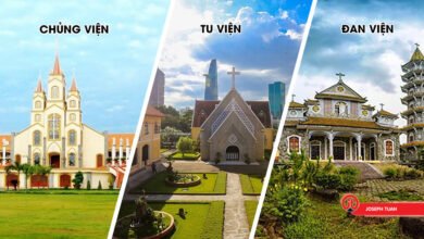 sự khác biệt giữa chủng viên, tu viện và đan viện