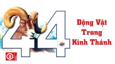 44 động vật trong kinh thánh - 44 animals of the bible
