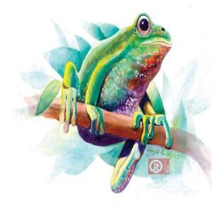 44 động vật trong kinh thánh - con ếch nhái