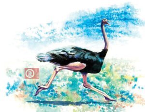 44 động vật trong kinh thánh - con đà điểu
