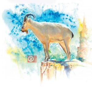 44 động vật trong kinh thánh - con dê rừng