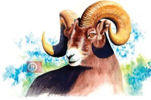 44 động vật trong kinh thánh - con dê đực