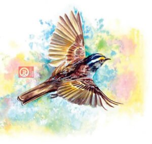 44 động vật trong kinh thánh - con chim sẻ