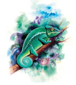 44 động vật trong kinh thánh - con tắc kè
