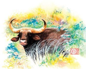 44 động vật trong kinh thánh - con trâu