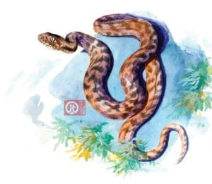 44 động vật trong kinh thánh - con rắn độc