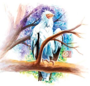 44 động vật trong kinh thánh - con kền kền