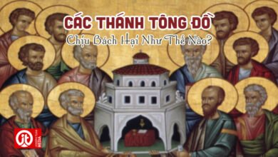 các thánh tông đồ chịu bách hại như thế nào