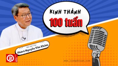 bài giảng kinh thánh 100 tuần đgm phêrô nguyễn văn khảm